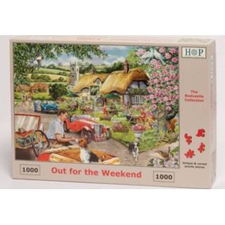 👉 Puzzel Out For The Weekend 1000 stukjes 5060002005019