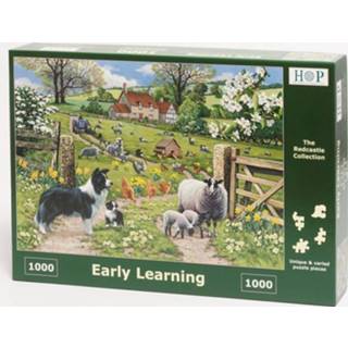 👉 Puzzel Early Learning 1000 stukjes 5060002004975