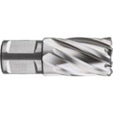 👉 Kernboor HSS SILVER-LINE, weldon 19, ø65x30 - 536.6500W 8717832136723