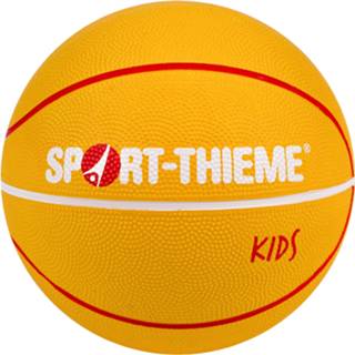 👉 Sport-Thieme Basketbal 