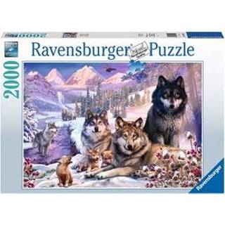 👉 Puzzel legpuzzels nederlands Wolven in de Sneeuw (2000 stukjes) 4005556160129