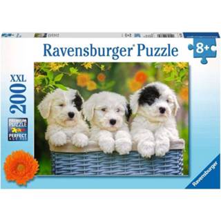 Puzzel XXL nederlands legpuzzels Schattige Puppies (200 stukjes) 4005556127658