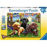 👉 Puzzel XXL nederlands legpuzzels Honden Picknick (100 stukjes) 4005556128860