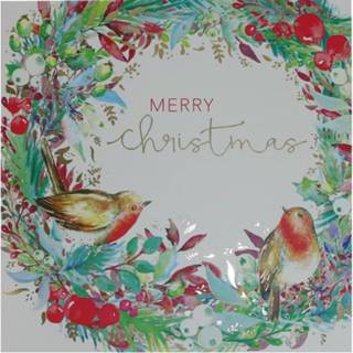 👉 Kerstkaart active - Roodborstjes (Set van 6) 5015877410284