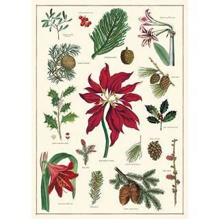 👉 Poster Cavallini Co Kerst Vintage Christmas Botanica 9781635442403