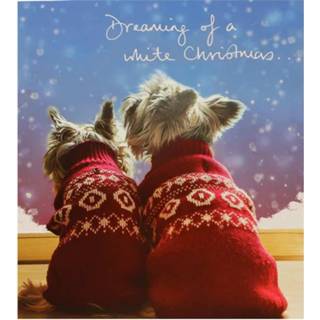 👉 Kerstkaart active - Twee Honden met Kersttrui (Set van 5) 5015877407949