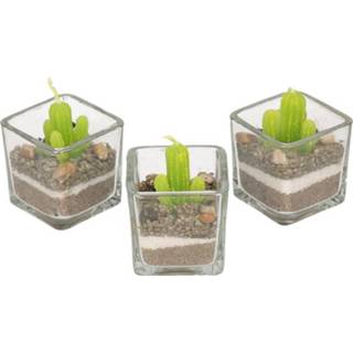 👉 3x Cactus plant kaarsjes
