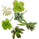 👉 Kunst bloem active Kunstbloem CSUCCULENT
