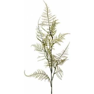 👉 Kunst bloem active Coco maison Kunstbloem Asparagus spray