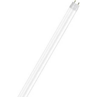 👉 Ledlamp OSRAM LED-lamp Energielabel: A++ (A+++ - G) G13 Staaf 14 W Koudwit (Ã x l) 26.7 mm 1212.0 1 stuk(s) 4058075292437