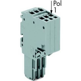 👉 WAGO 2020-206/124-000 2-aderige veerlijst 25 stuk(s)