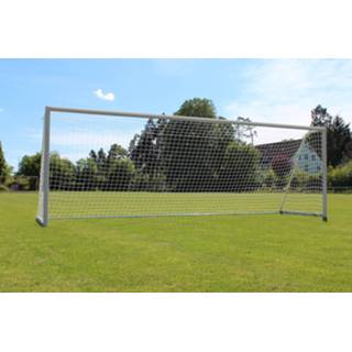 👉 Nethouder zilver Sport-Thieme Grootveldvoetbaldoel met opvouwbare netbeugel en bodemframe, Mat geanodiseerd,