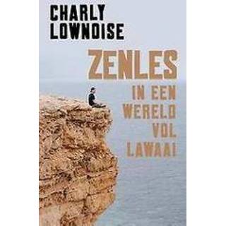 👉 Zenles in een wereld vol lawaai. Roelofs, Ramon, Paperback 9789021575681