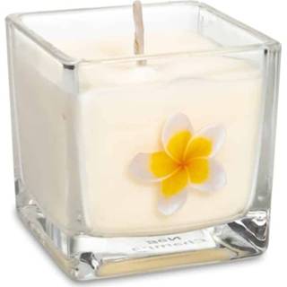 👉 Geurkaars active Koolzaadwas Ecologische Nag Champa 8720088292822