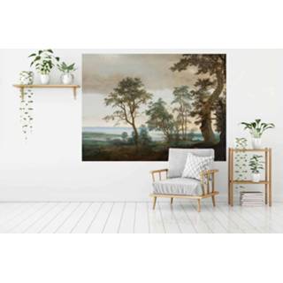 👉 Fotobehang Vlies Rivierlandschap