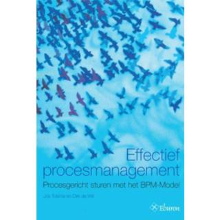 👉 Effectief procesmanagement - Boek Dirk de Wit (9059722906)