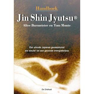 👉 Handboek Jin Shin Jyutsu. een aloude Japanse geneeskunst als sleutel tot gezondere energiebalans, T. Monte, Paperback 9789062290581