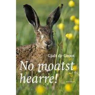 👉 Groot No moatst hearre!. Groot, Gjalt de, Paperback 9789056153014