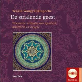 👉 De stralende geest. Tibetaanse meditatie voor openheid, helderheid en vreugde, Tenzin Wangyal Rinpoche, Hardcover