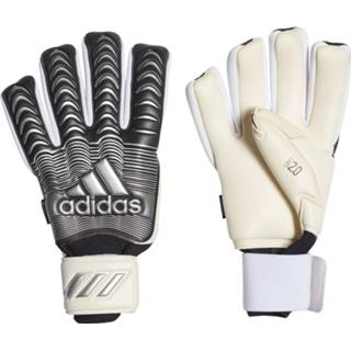 👉 Zilver Adidas Classic Pro FS