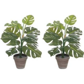 👉 Kunstplant groene grijze 2x Monstera/gatenplant kunstplanten 48 cm met pot