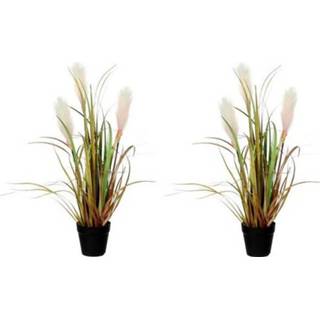 👉 Kunstplant groen bruin zwarte volwassenen 2x siergras met pluimen groen/bruin in pot 53 cm