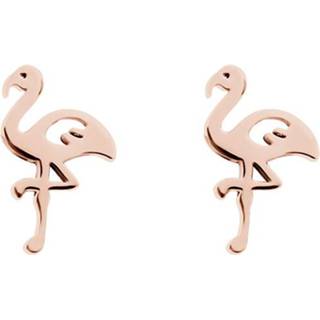 👉 Oorbel edelstaal nederlands vrouwen ros goud IXXXi Oorbellen Flamingo Rosé