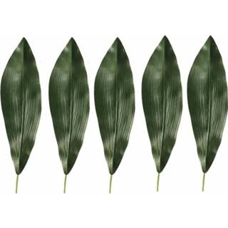 👉 Groene 5x Donkergroene Aspidistra kunsttak 75 cm