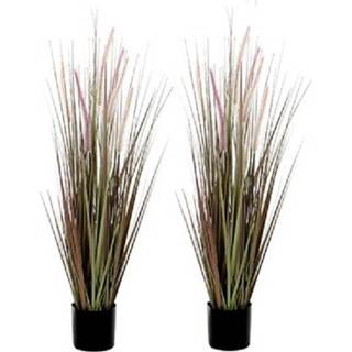 👉 Siergras paarse zwarte 2x Dogtail kunstplanten 90 cm met pot