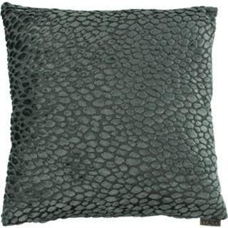 👉 Claudi Sierkussen Speranza