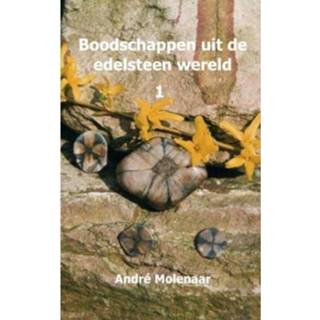 👉 Boodschappennetje Boodschappen Uit De Edelsteen Wereld - André Molenaar 9789402138139