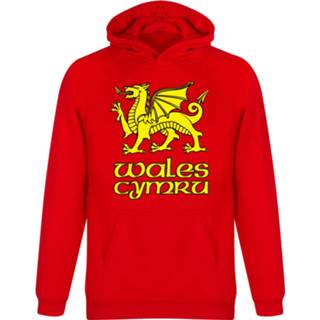 👉 Sweater rood kinderen Wales Cymru Hooded - 12 Years