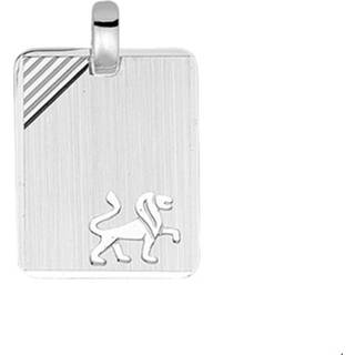 👉 Zilver unisex active TFT Graveerhanger Sterrenbeeld Leeuw Gediamanteerd 8718834089727