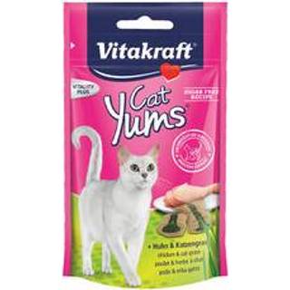 👉 Kattengras Vitakraft Cat Yums - Kip & 40 gram 4008239315311