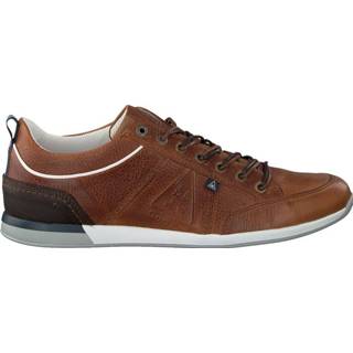 👉 Sneakers male bruin Bayline