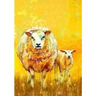 👉 Ansicht kaart active Ansichtkaart Weet ... Zeggen 5 (Set van 5) 8719244000050