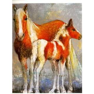 👉 Active Dubbele Kaart Paard en Veulen (Set van 5) 8717027006787