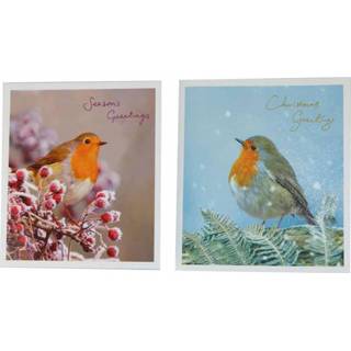 👉 Kerstkaart - Vogels (Set van 10)