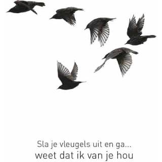 👉 Wenskaart active Relaties - Vogels in Lucht (Set van 6) 8719244000111