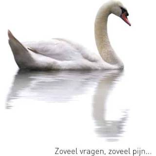 👉 Wenskaart Verdriet - Zwaan (Set van 6) 8719244000371