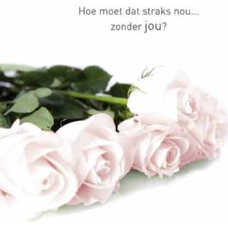 👉 Wenskaart roze Laatste Levensfase - Rozen (Set van 6) 8719244000326