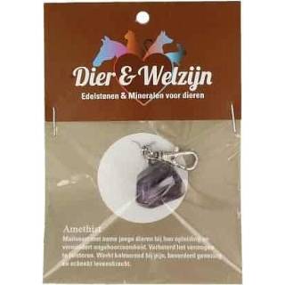 👉 Hals band amethist active Halsband Hanger Dier en Welzijn 8718561058089