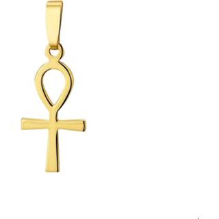 👉 Hanger geelgoud glanzend active unisex ankh kruis goudkleurig TFT 8718834217335