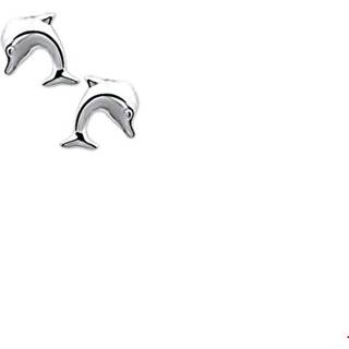 👉 Oorknop zilver glanzen One Size no color TFT Oorknoppen Dolfijn Gerhodineerd Glanzend 9 mm x 8 8718834439454