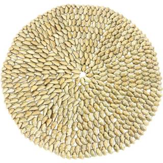 👉 Placemat active van kleine Schelpen 8717506108247