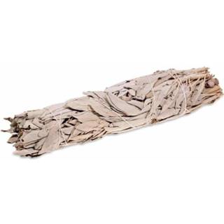 👉 Witte Salie active Smudge M/L 8720088292228