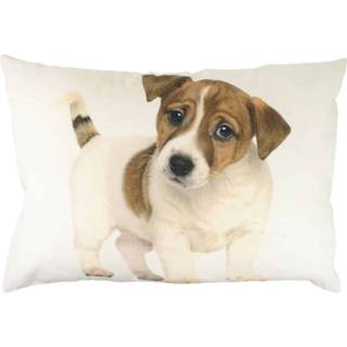 👉 Sierkussen Canvas Jack Russel Puppy (50 x 35 cm)