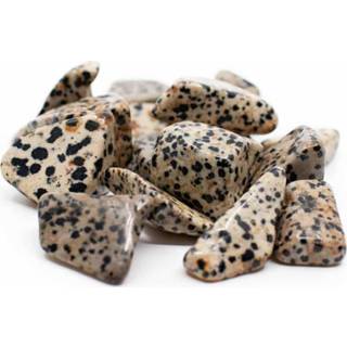 👉 Trommelstenen Dalmatier Jaspis (20 tot 40 mm) - 200 gram