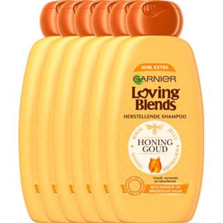 👉 Shampoo active 6x Garnier Loving Blends Honinggoud 300 ml 3600542229685