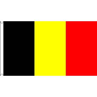 👉 Gevelvlag multi polyester Belgie 150 x 240 cm